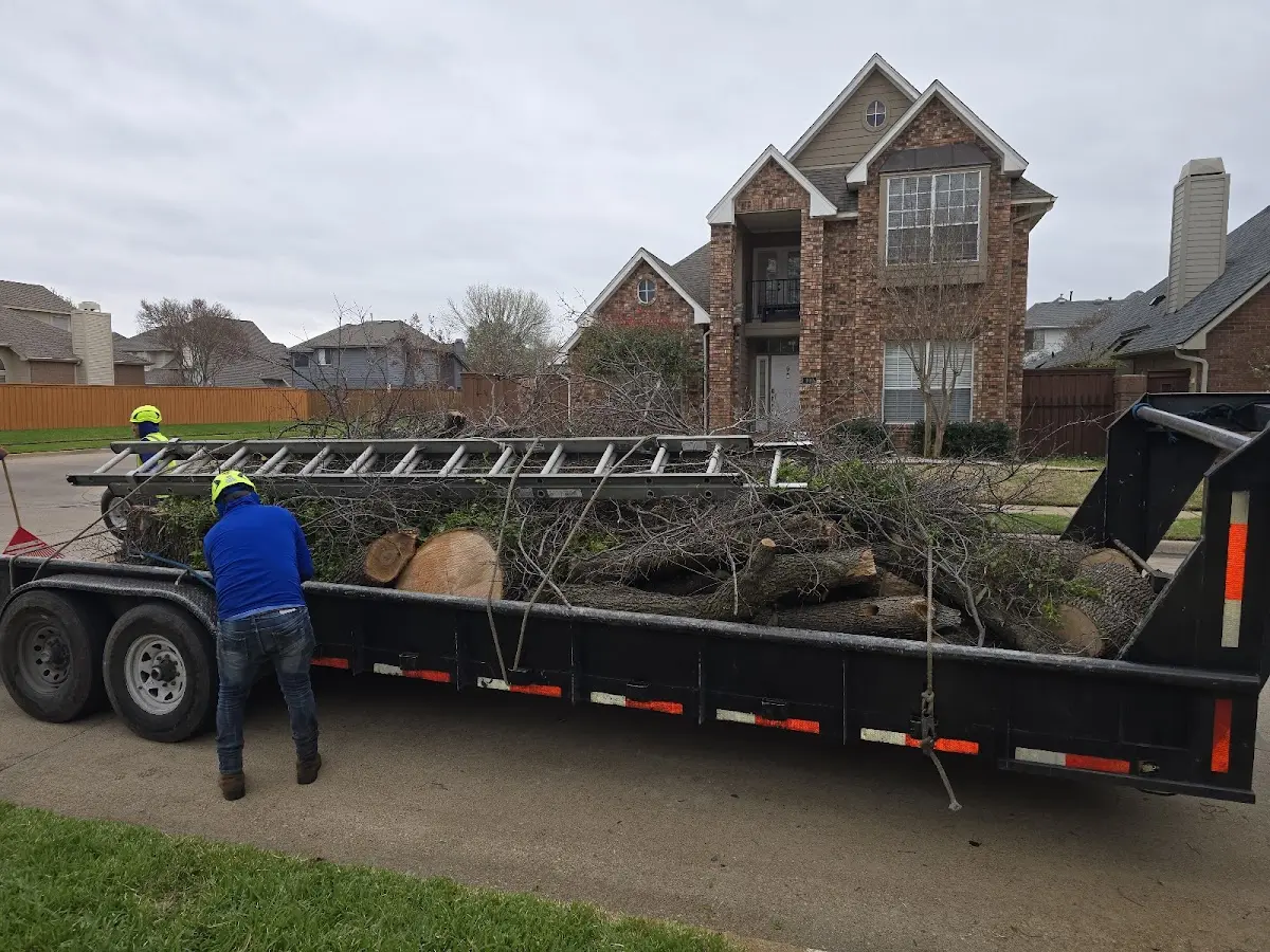 Expert Tree Fertilization with proper safety equipment in Gilbert